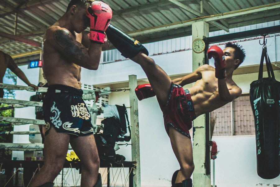 Best muay thai gloves brand deals