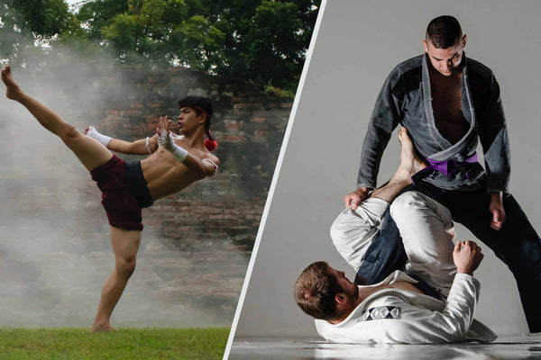 Muay Thai vs BJJ