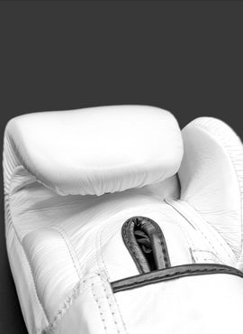 Fairtex BGV1 Muay Thai Gloves