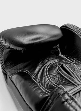 Fairtex BGV1 Muay Thai Gloves